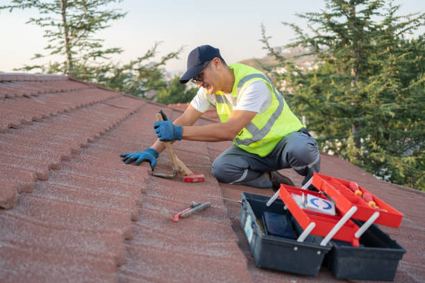 Best Roof Gutter Cleaning  in Bondurant, IA